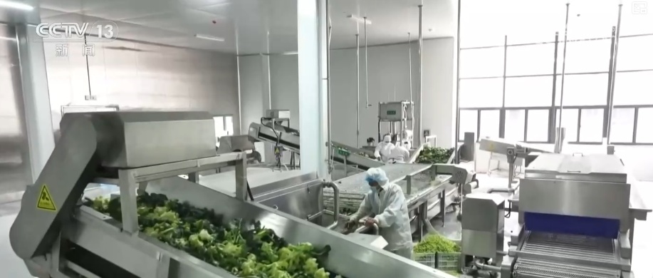 一揽子增收措施、一套政策“组合拳” 创造条件多渠道增加农民财产性收入 一揽子增收措施、一套政策“组合拳” 创造条件多渠道增加农民财产性收入