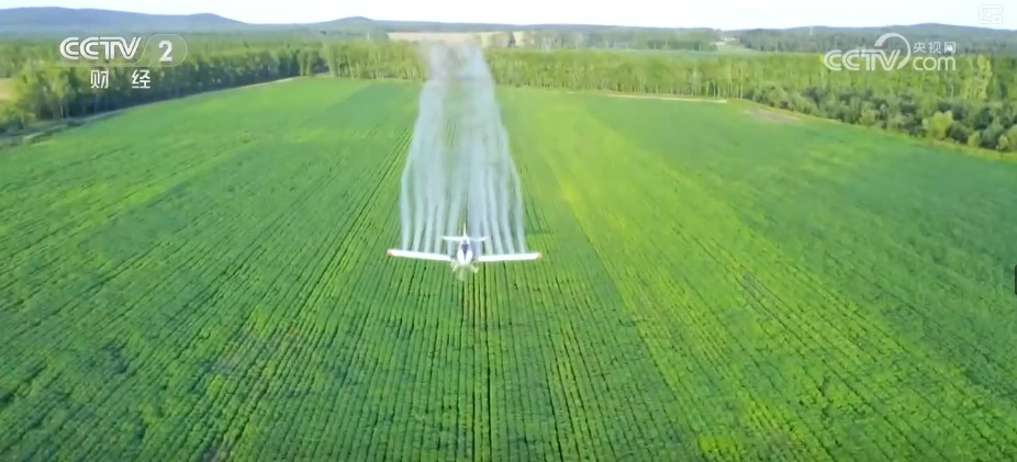 聚焦中央一号文件 高标准农田建设加快 冬修水利按下“快进键”