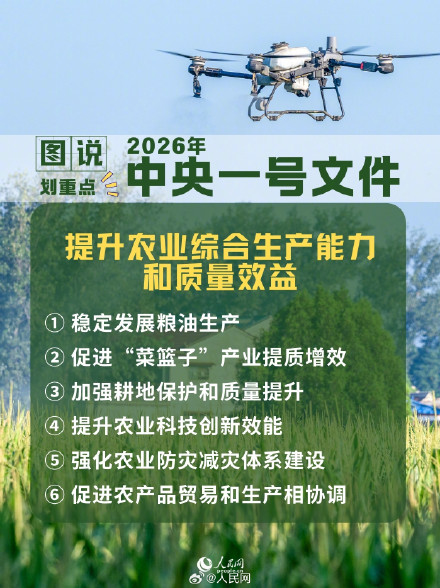 划重点！6图速览2026年中央一号文件