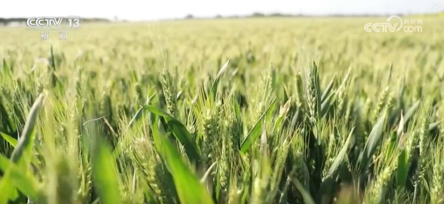 一揽子增收措施、一套政策“组合拳” 创造条件多渠道增加农民财产性收入 一揽子增收措施、一套政策“组合拳” 创造条件多渠道增加农民财产性收入