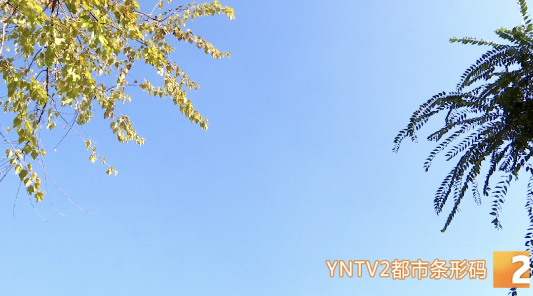 今日立春，天气要变暖？不！云南局地将断崖式降温超10°C