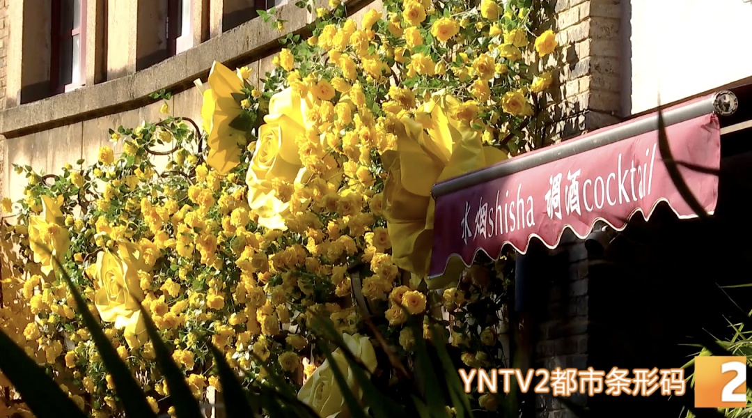 今日立春，天气要变暖？不！云南局地将断崖式降温超10°C