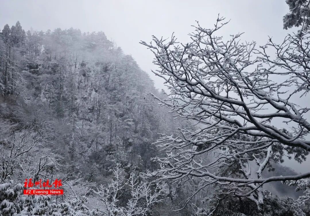 福州男孩发烧到39.1℃：他去东北见到雪太兴奋，吃了几口！医生提醒：雪不能乱吃