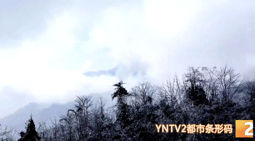 今日立春，天气要变暖？不！云南局地将断崖式降温超10°C