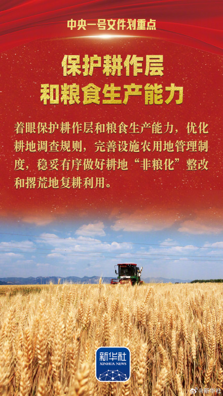 中央一号文件划重点！