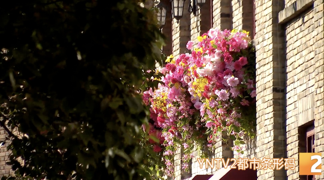 今日立春，天气要变暖？不！云南局地将断崖式降温超10°C