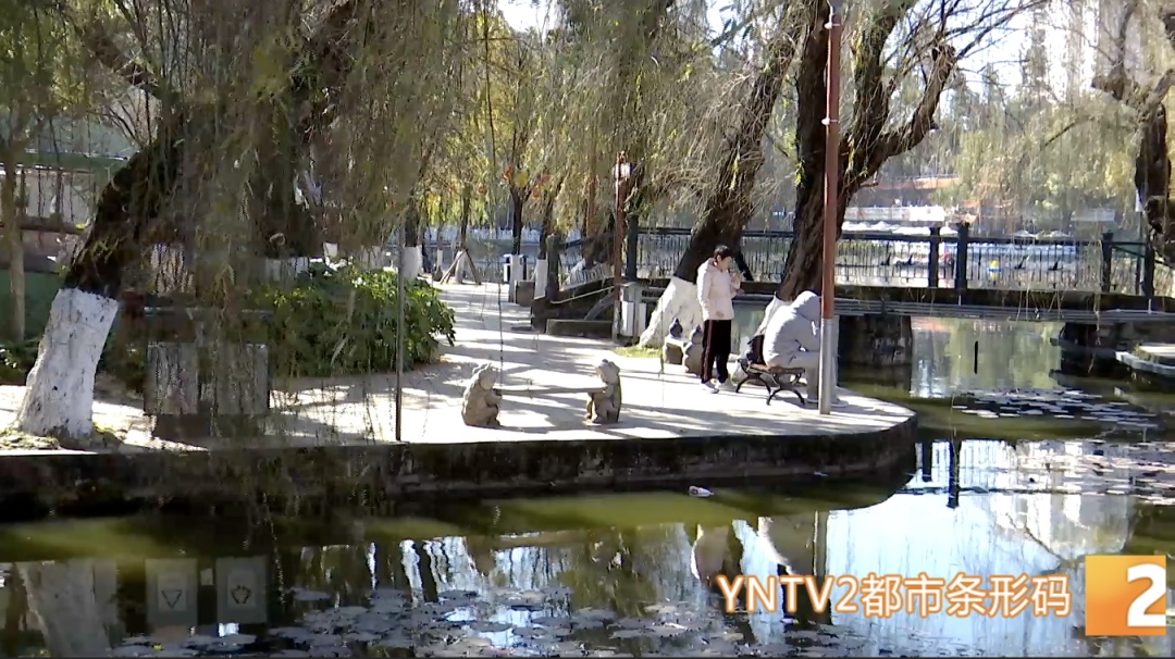 今日立春，天气要变暖？不！云南局地将断崖式降温超10°C