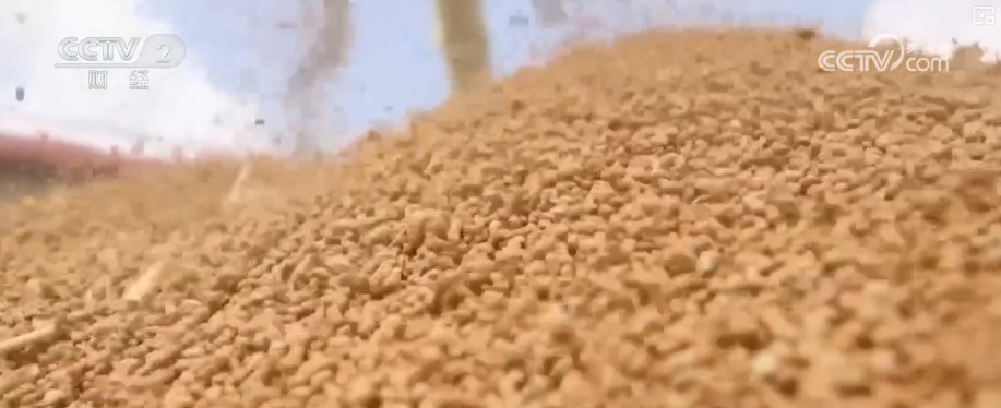 聚焦中央一号文件 高标准农田建设加快 冬修水利按下“快进键”