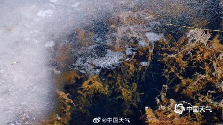 立春：东风解冻 湖水融冰漾新波