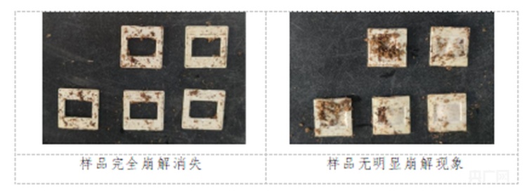 上海消保委测评，5款可降解一次性杯不达标