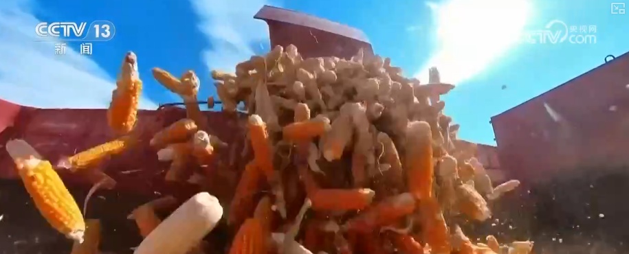 一揽子增收措施、一套政策“组合拳” 创造条件多渠道增加农民财产性收入 一揽子增收措施、一套政策“组合拳” 创造条件多渠道增加农民财产性收入