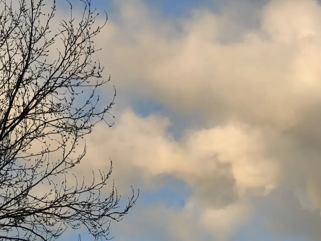 辽宁，寒潮黄色、橙色预警！近十年最冷的1月刚被确认……