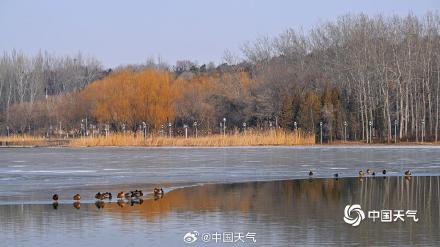 立春：东风解冻 湖水融冰漾新波