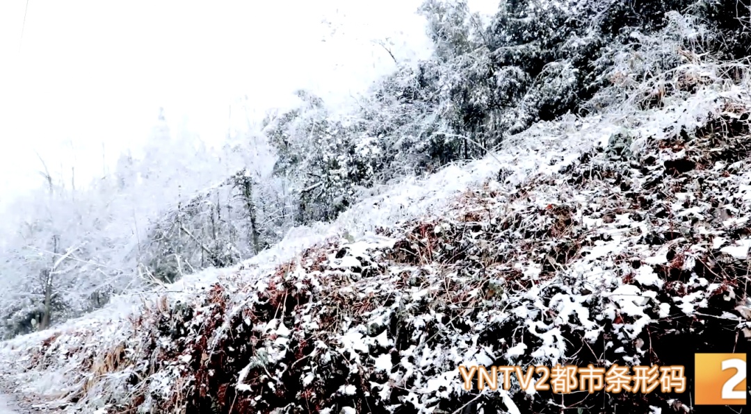 今日立春，天气要变暖？不！云南局地将断崖式降温超10°C