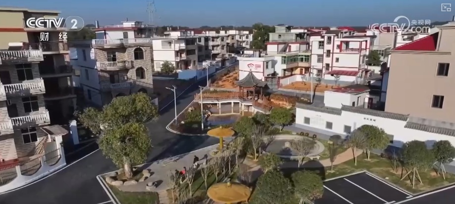 聚焦中央一号文件 高标准农田建设加快 冬修水利按下“快进键”