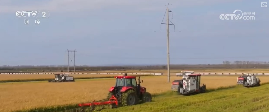 聚焦中央一号文件 高标准农田建设加快 冬修水利按下“快进键”