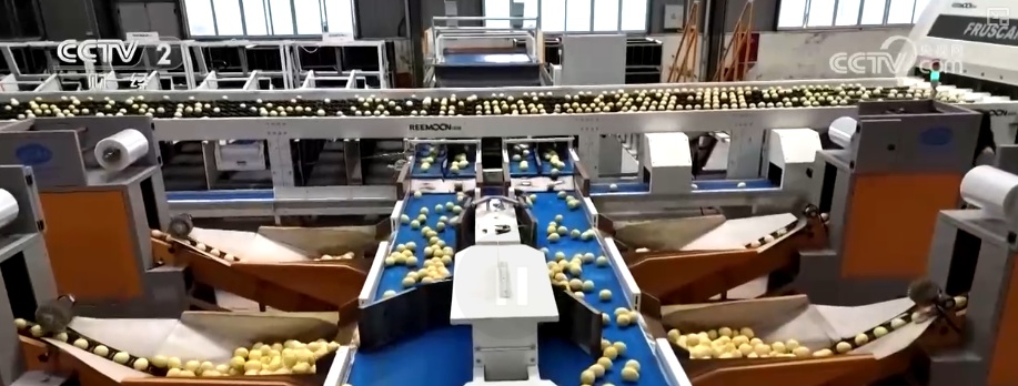 聚焦中央一号文件 高标准农田建设加快 冬修水利按下“快进键”