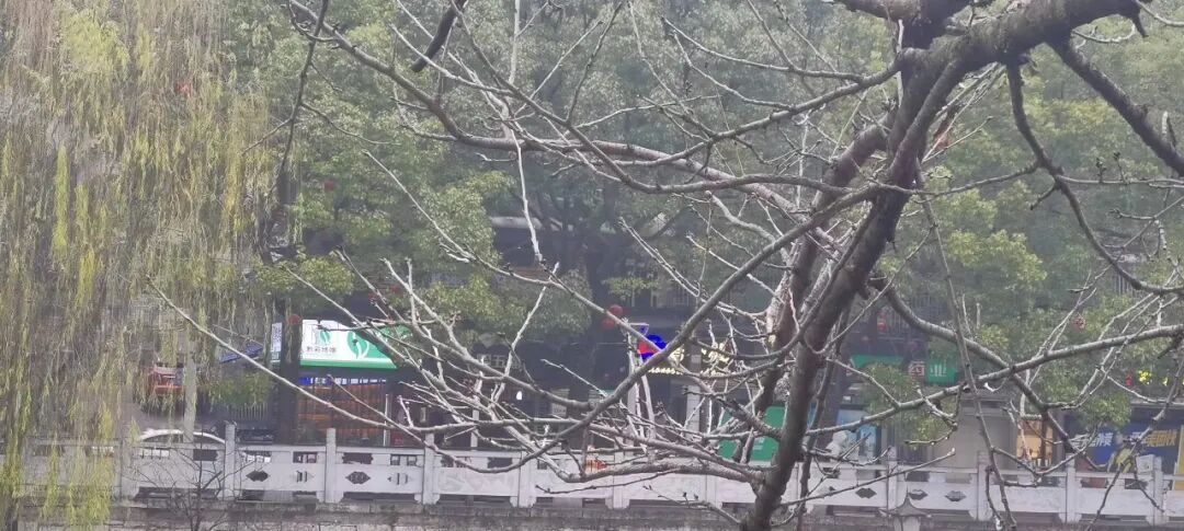 最高气温下降5～10℃！贵州新一轮较强冷空气即将来袭→