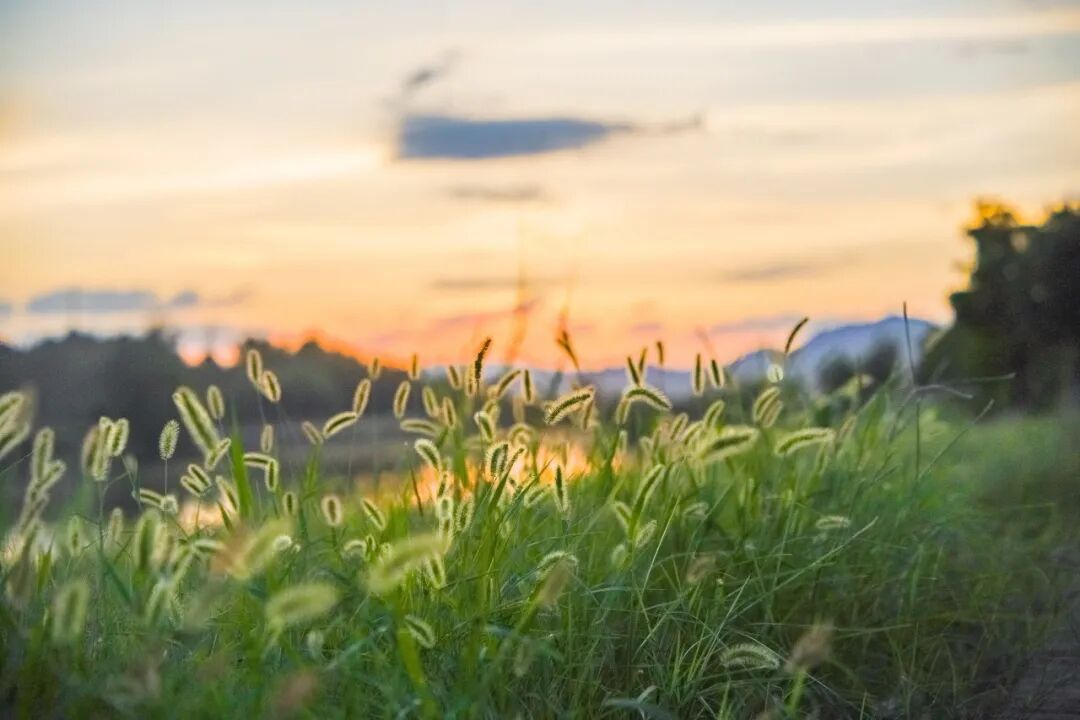 创造自己、托举自己，才是最大的底气