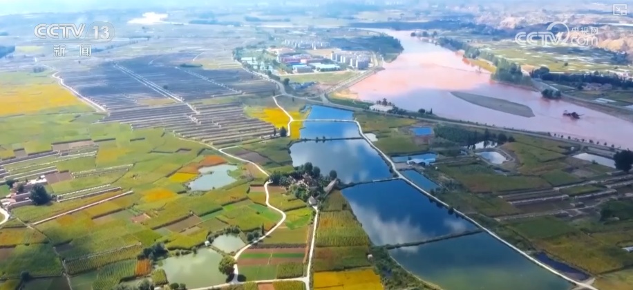 一揽子增收措施、一套政策“组合拳” 创造条件多渠道增加农民财产性收入 一揽子增收措施、一套政策“组合拳” 创造条件多渠道增加农民财产性收入