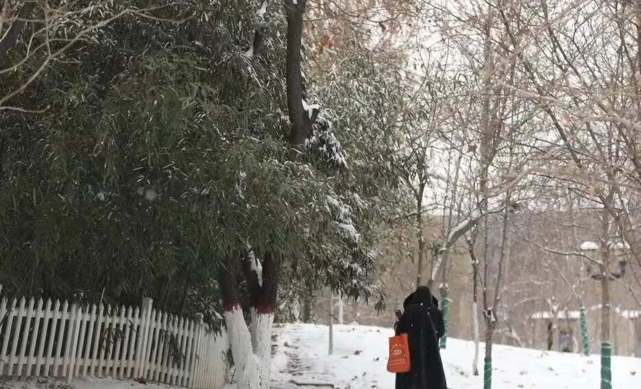 西部山区有零星小雪！石家庄新一轮冷空气要来了...