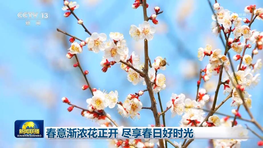 春意渐浓花正开 尽享春日好时光 春意渐浓花正开 尽享春日好时光