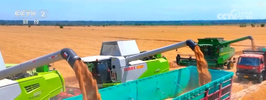 聚焦中央一号文件 高标准农田建设加快 冬修水利按下“快进键”