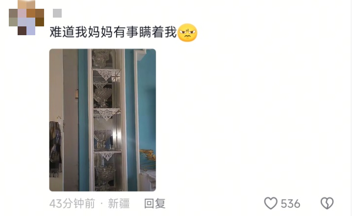 冠军晒奖杯意外“撞脸”新疆果盘！评论区热闹了