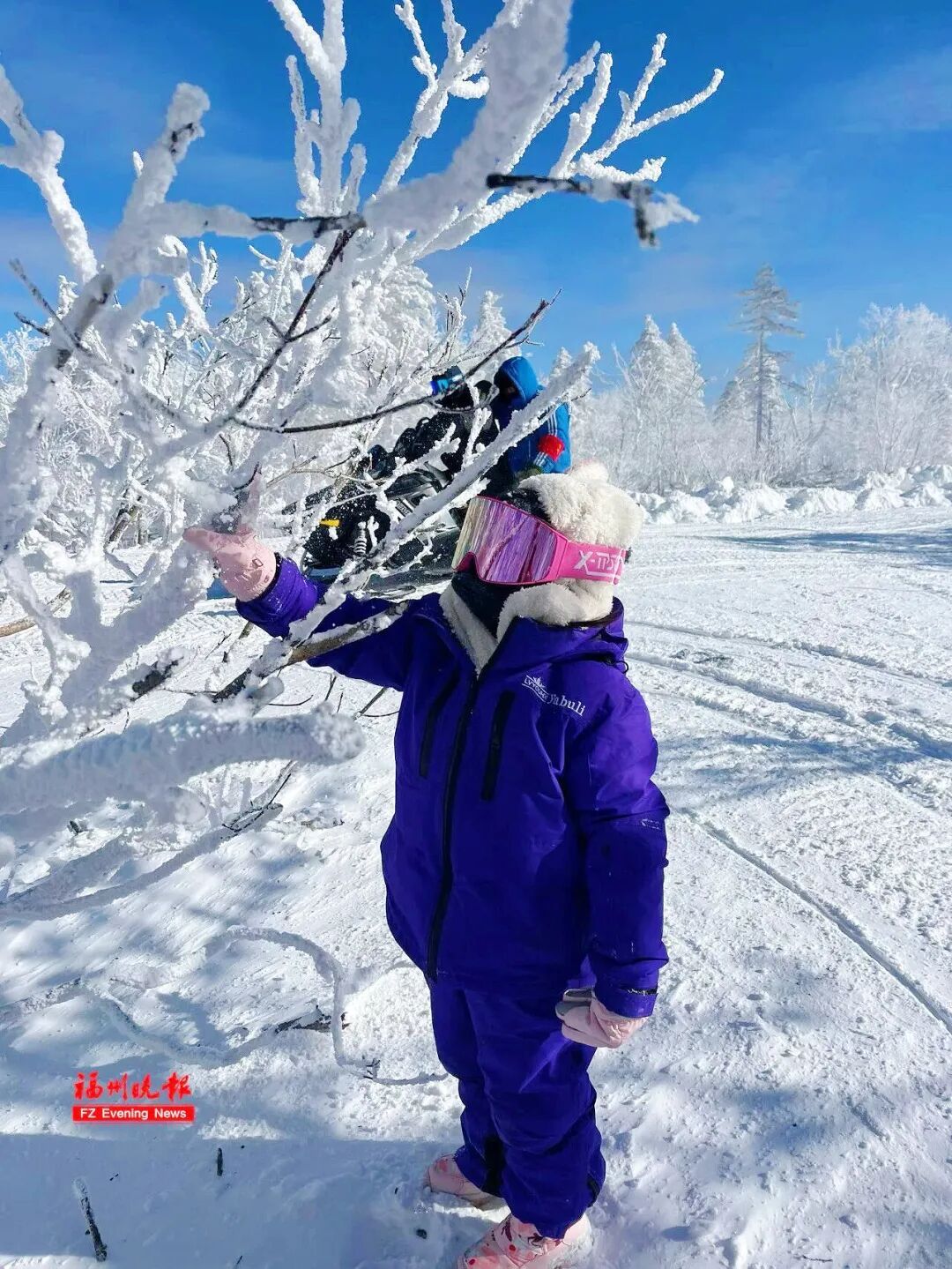 福州男孩发烧到39.1℃：他去东北见到雪太兴奋，吃了几口！医生提醒：雪不能乱吃