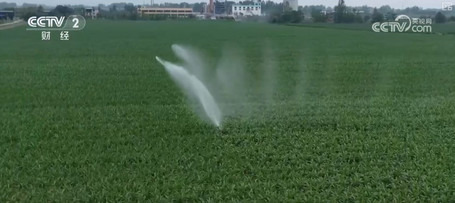 聚焦中央一号文件 高标准农田建设加快 冬修水利按下“快进键”