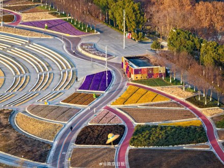 美出圈！南京左岸花海冬日繁花盛放，美如巨型调色盘