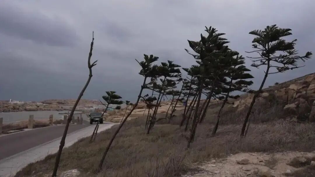 东部战区沿海一线,真实战备记录! 东部战区沿海一线,真实战备记录!