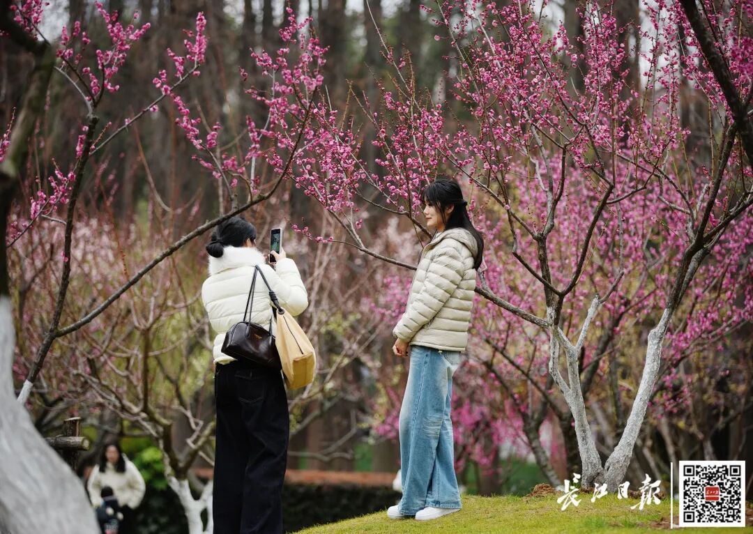 武汉又要下雪！何时入春？回应来了