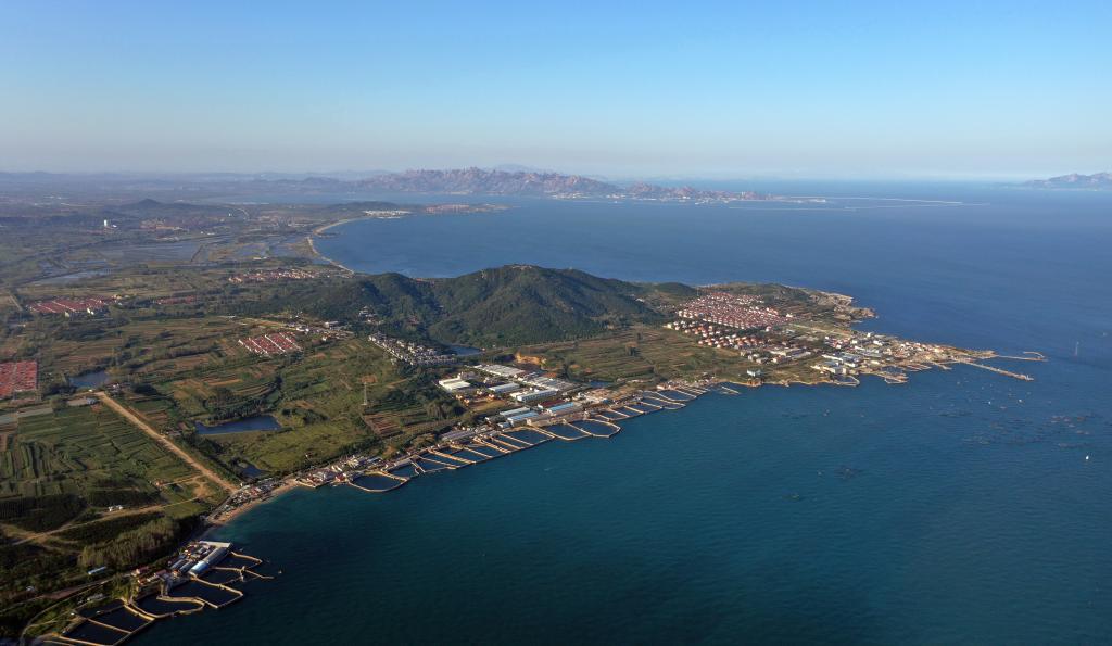 文化新观察丨它们何以入选“2025年中国考古新成果”? 文化新观察丨它们何以入选“2025年中国考古新成果”?