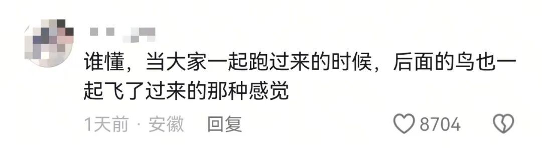盲人夫妻拍婚纱照，路人暖心抢镜感动全网！其女儿回应