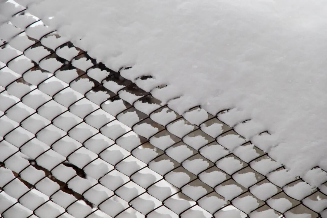 蝌学零距离丨雪地卖霉豆腐爆火！但这种“长毛”豆腐，可别随便吃！