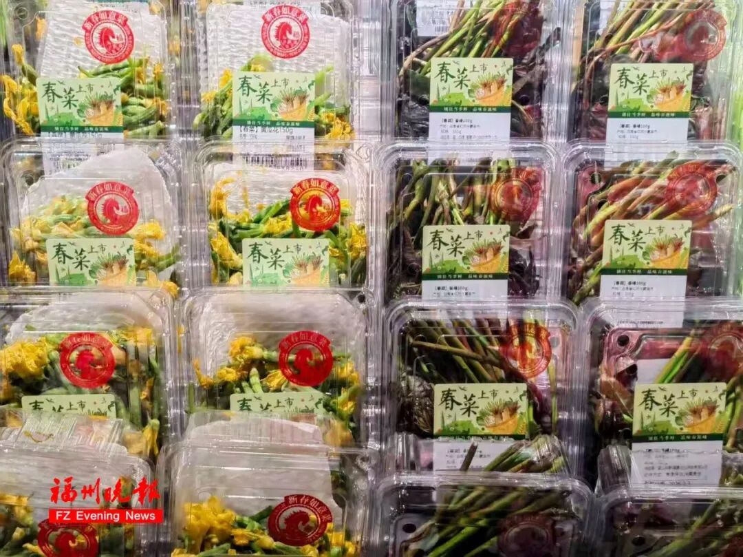 太鲜甜了！春菜大量上市！很多人爱吃