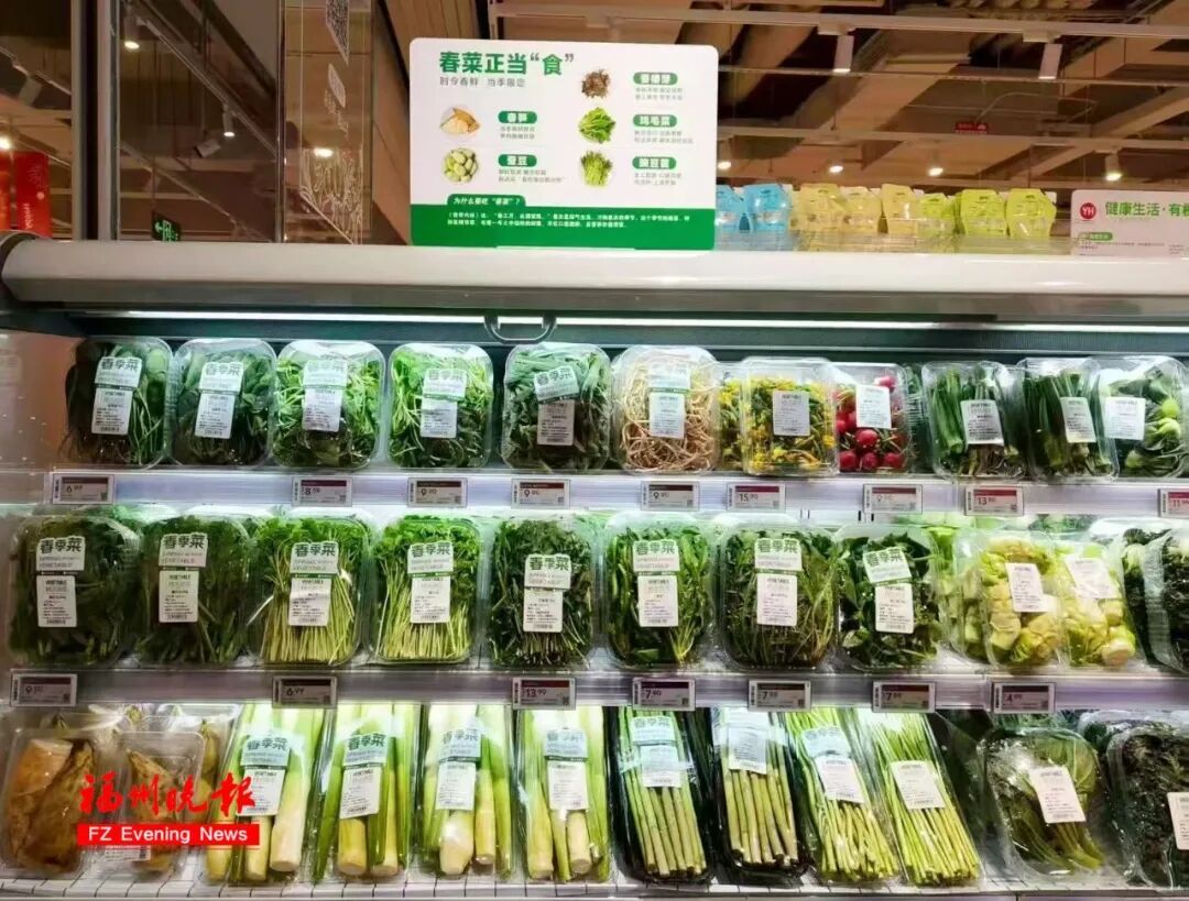 太鲜甜了！春菜大量上市！很多人爱吃