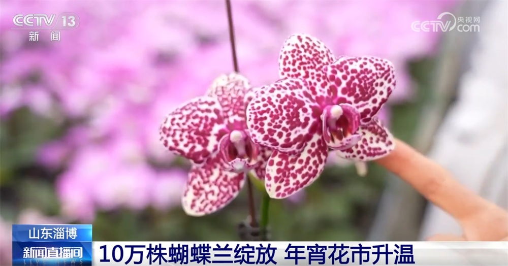 “传统文化+硬核科技”撬动文旅消费新场景 融合创新助力“年经济”无限可能 “传统文化+硬核科技”撬动文旅消费新场景 融合创新助力“年经济”无限可能