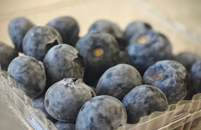 从炎症到癌症可能只差几步！这5种炎症是“癌变警报”，最该早点扑灭