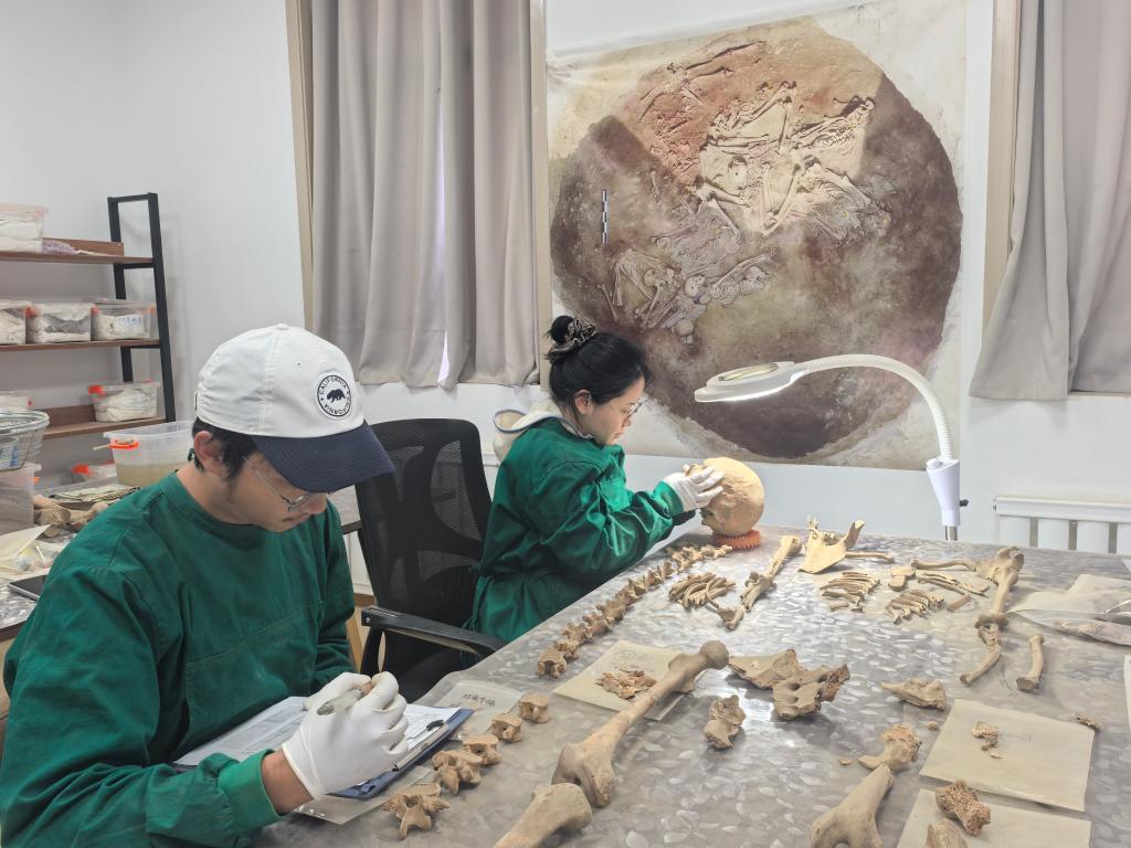 文化新观察丨它们何以入选“2025年中国考古新成果”? 文化新观察丨它们何以入选“2025年中国考古新成果”?