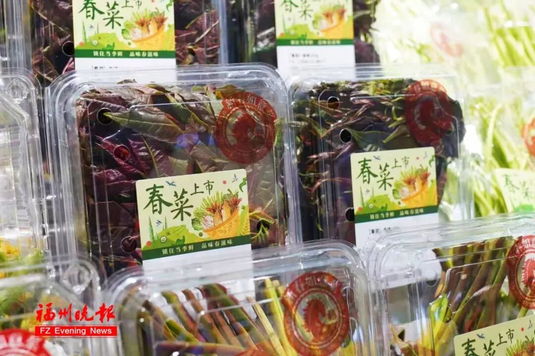 太鲜甜了！春菜大量上市！很多人爱吃