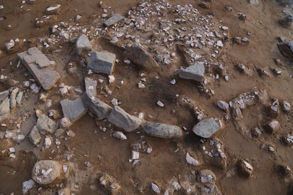 文化新观察丨它们何以入选“2025年中国考古新成果”? 文化新观察丨它们何以入选“2025年中国考古新成果”?