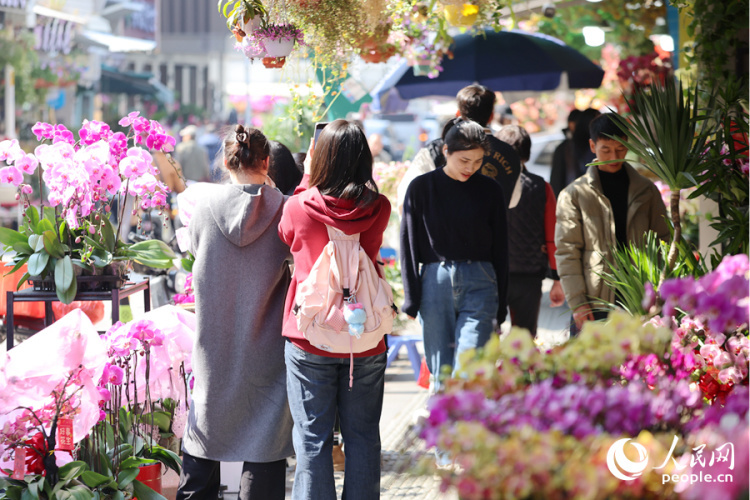 新春走基层丨厦门：新年花市人气旺 &nbsp;马年元素成“新宠”