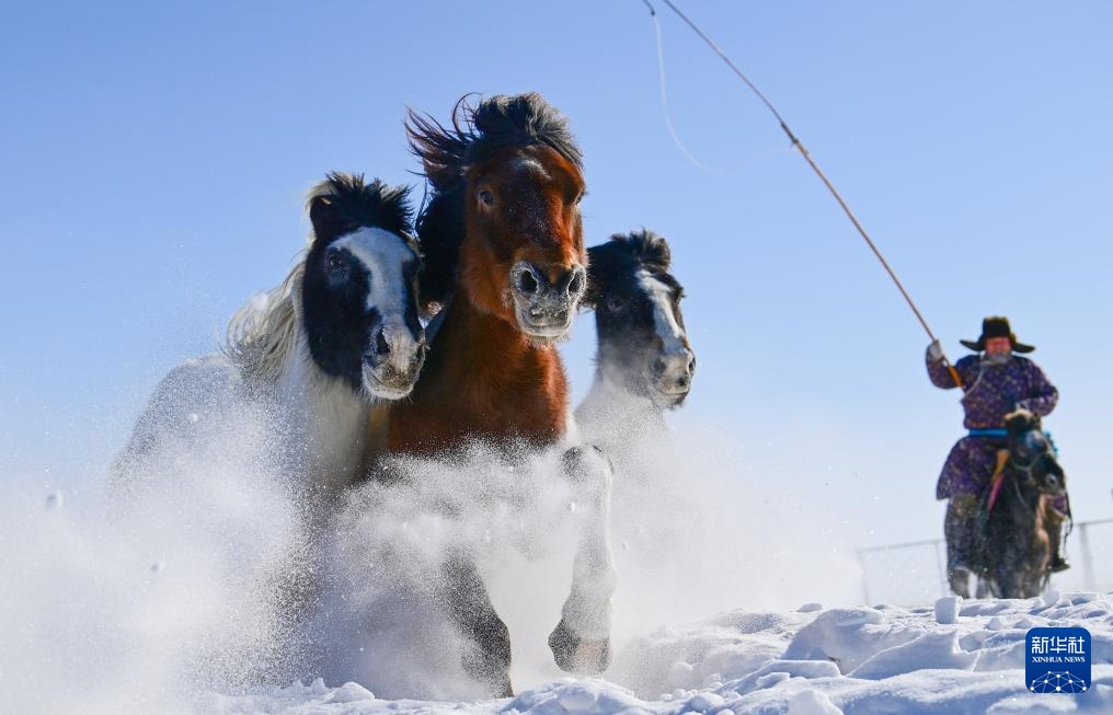 策马踏雪迎新春 策马踏雪迎新春