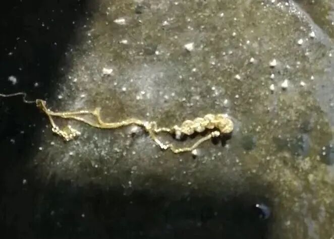 女子上厕所时黄金项链掉入便池,工作人员找了40分钟成功取出 女子上厕所时黄金项链掉入便池,工作人员找了40分钟成功取出