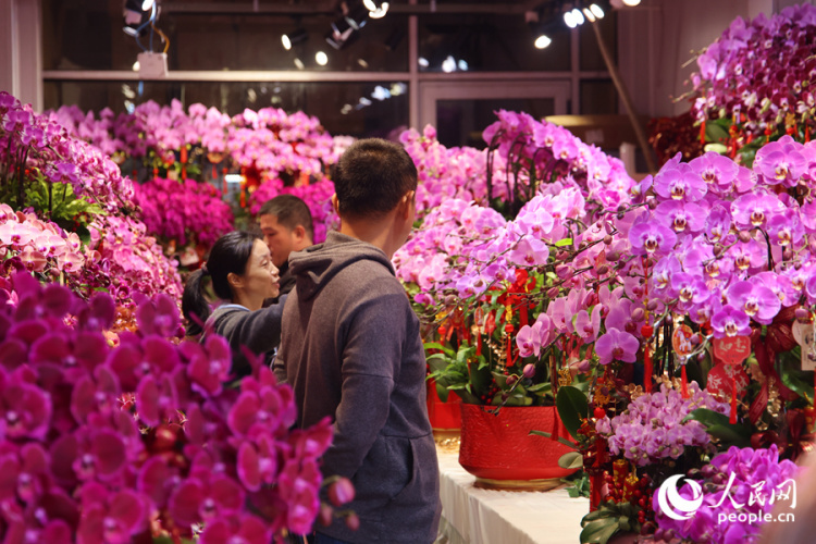 新春走基层丨厦门：新年花市人气旺 &nbsp;马年元素成“新宠”