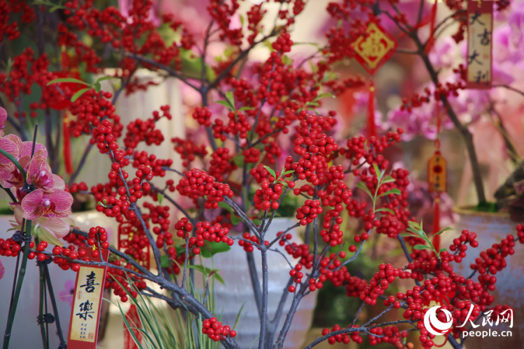 新春走基层丨厦门：新年花市人气旺 &nbsp;马年元素成“新宠”