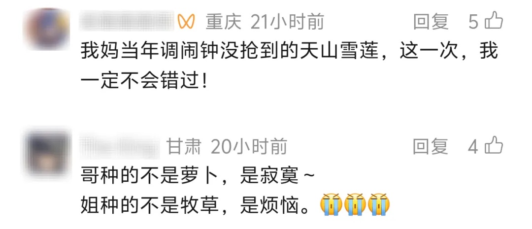 官宣：今日回归！“偷”菜的快乐回来了！