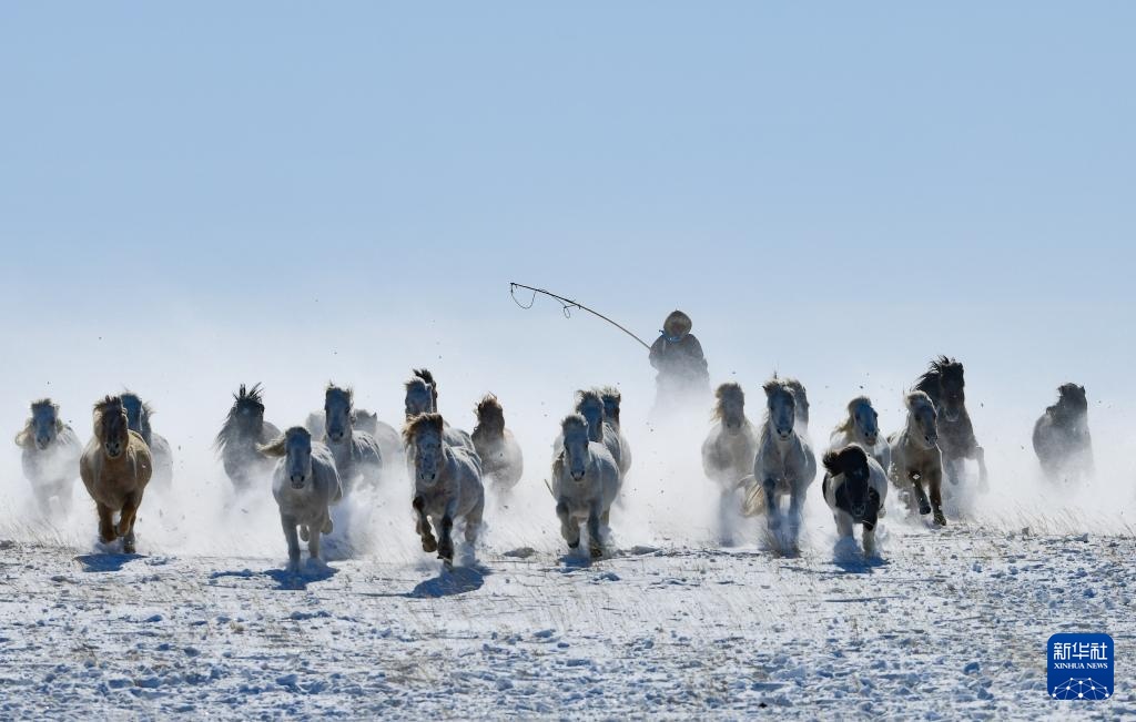 策马踏雪迎新春 策马踏雪迎新春